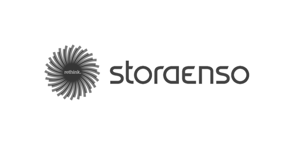 logo storaenso