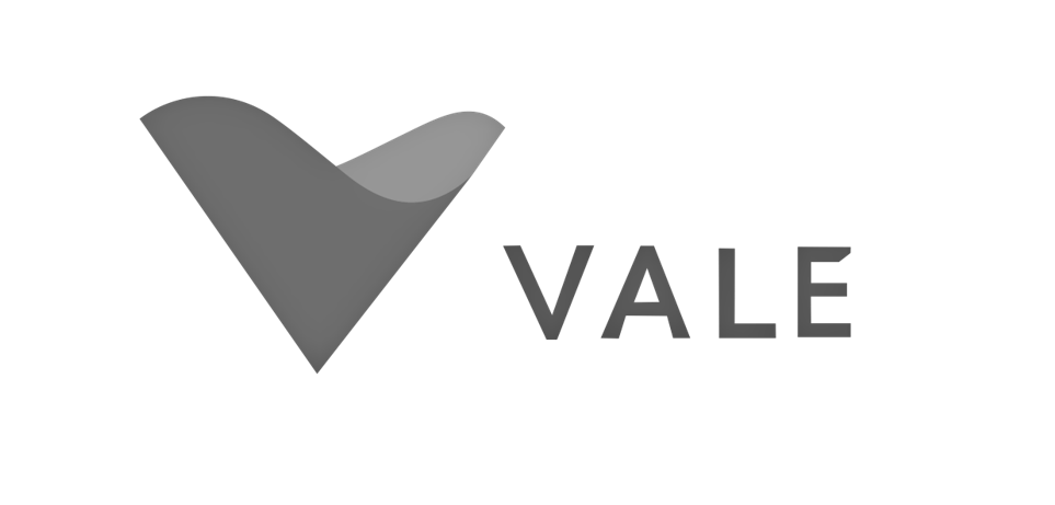 logo Vale